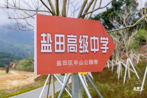 恩上湿地公园