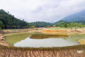 恩上湿地公园