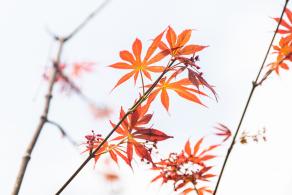 恩上湿地公园