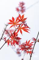 恩上湿地公园