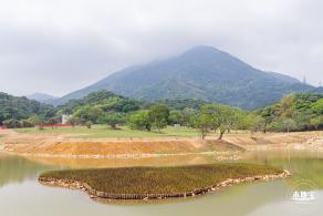恩上湿地公园