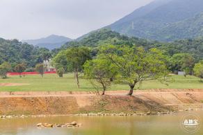 恩上湿地公园