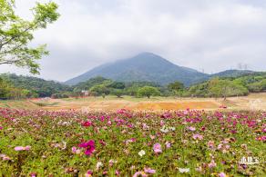恩上湿地公园