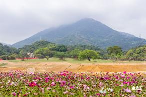 恩上湿地公园