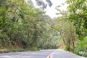 盐田半山公园带