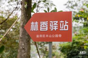 盐田半山公园带