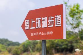 盐田半山公园带