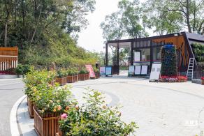 盐田半山公园带