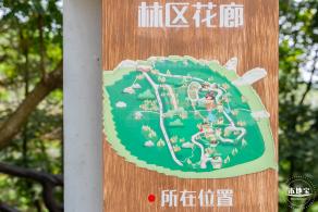盐田半山公园带