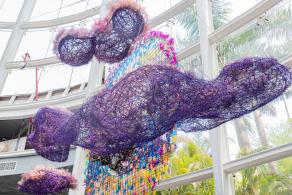 2021粤港澳大湾区深圳花展（园博园）