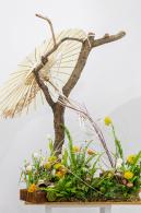 2021粤港澳大湾区深圳花展（园博园）
