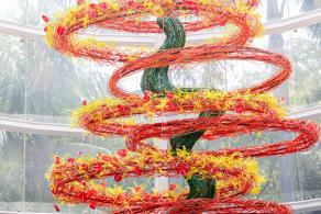 2021粤港澳大湾区深圳花展（园博园）