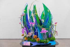 2021粤港澳大湾区深圳花展（园博园）