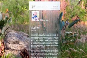 2021粤港澳大湾区深圳花展（仙湖植物园）