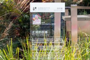 2021粤港澳大湾区深圳花展（仙湖植物园）