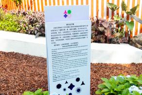 2021粤港澳大湾区深圳花展（仙湖植物园）