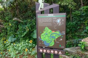 2021粤港澳大湾区深圳花展（仙湖植物园）