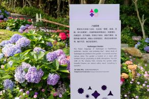 2021粤港澳大湾区深圳花展（仙湖植物园）