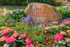 2021粤港澳大湾区深圳花展（仙湖植物园）