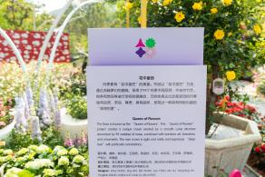2021粤港澳大湾区深圳花展（仙湖植物园）