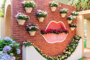 2021粤港澳大湾区深圳花展（仙湖植物园）