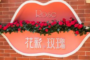 2021粤港澳大湾区深圳花展（仙湖植物园）