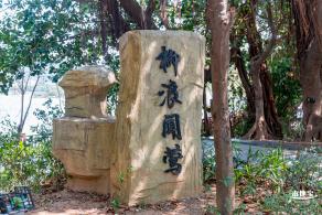 立新湖公园月季花海