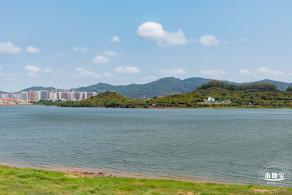 立新湖公园月季花海