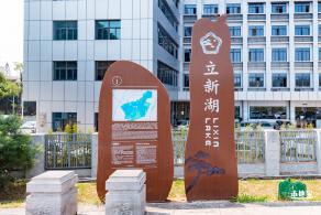 立新湖公园月季花海