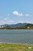 立新湖公园月季花海