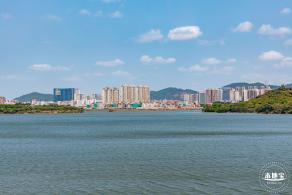 立新湖公园月季花海