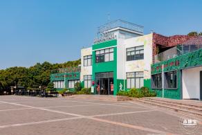 立新湖公园月季花海