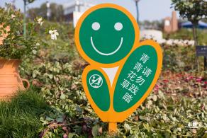 立新湖公园月季花海