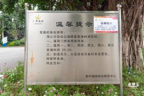 海心沙亚运公园花海