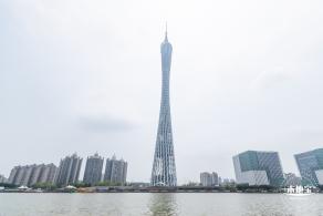 海心沙亚运公园花海