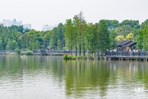 广州海珠国家湿地公园