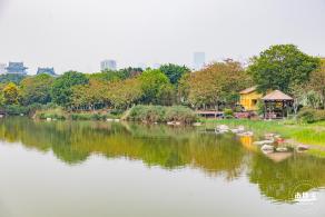 广州海珠国家湿地公园