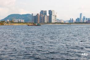 湾区之光