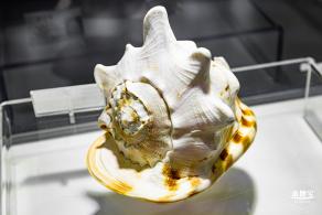蛇口海洋科普馆