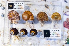 蛇口海洋科普馆