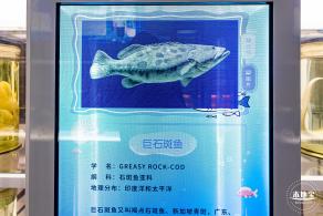 蛇口海洋科普馆