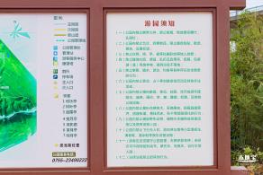 罗田森林公园