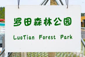 罗田森林公园