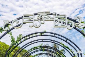 罗田森林公园