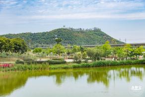 罗田森林公园