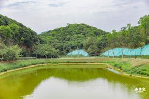 罗田森林公园