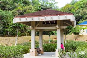 罗田森林公园