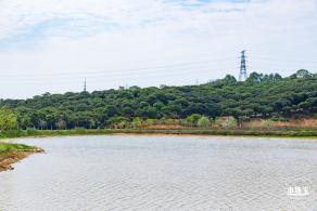 罗田森林公园