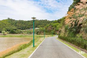 罗田森林公园