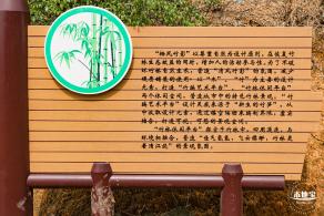 罗田森林公园
